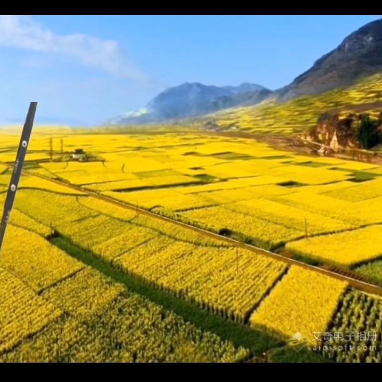 生活还要继续