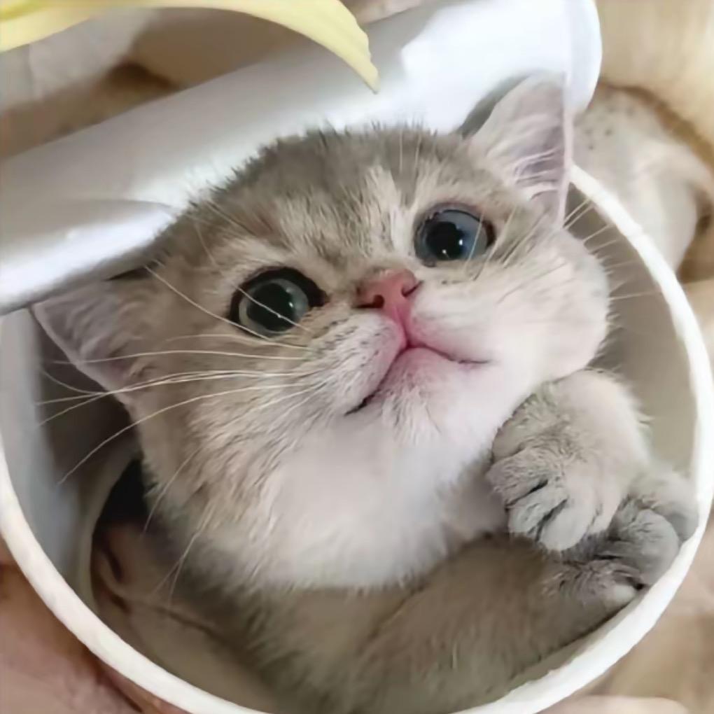 甜心.