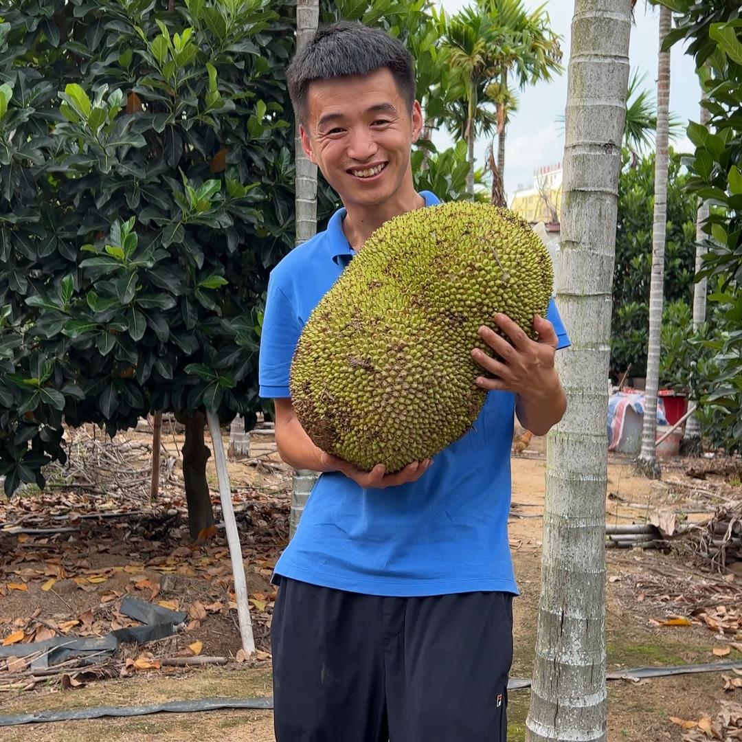 刘老四应季水果