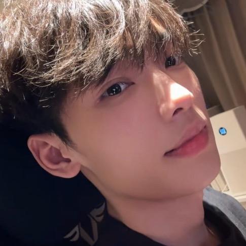 万一w（无畏契约）