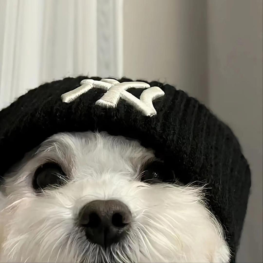 伯bo