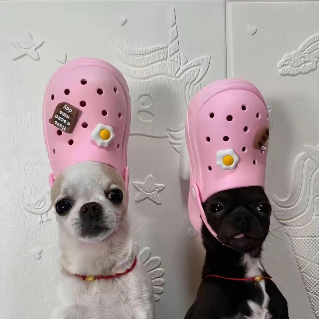 绿色糕晒