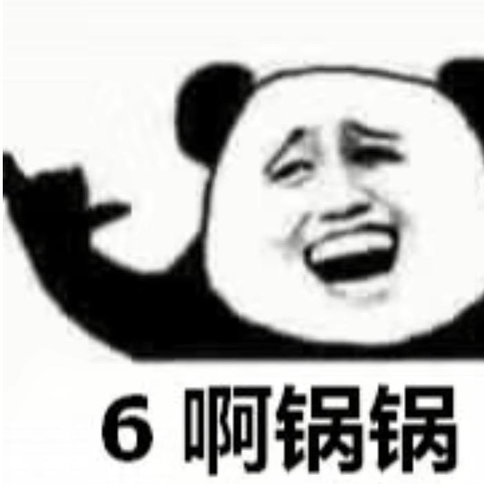 豚鼠