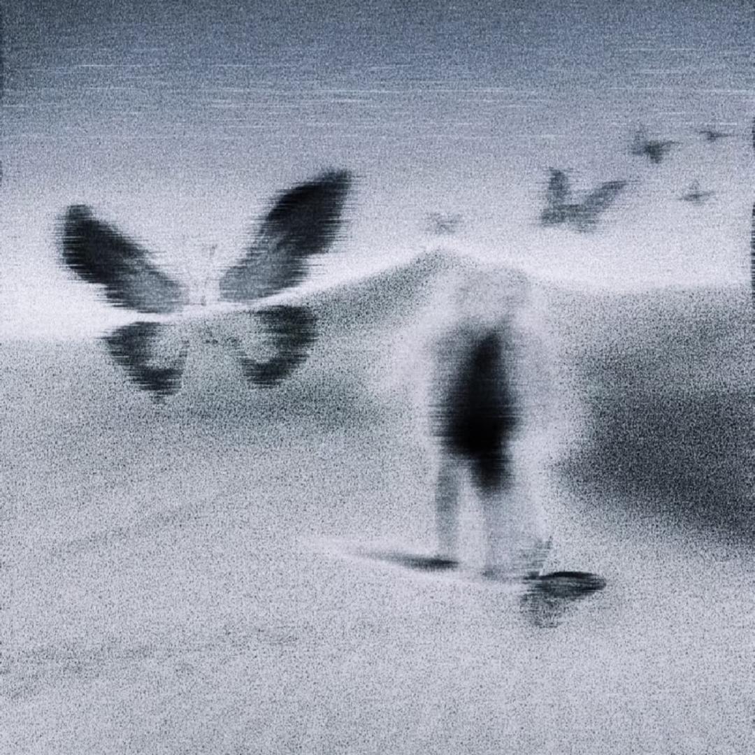 蝴蝶梦