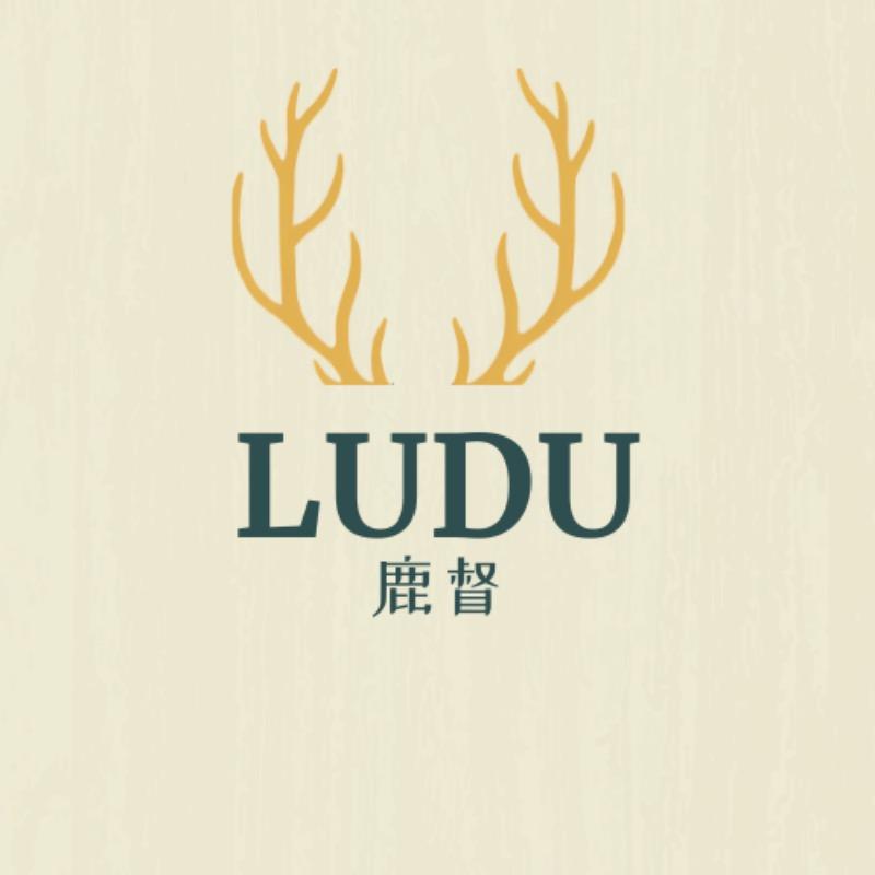 LUDU男装