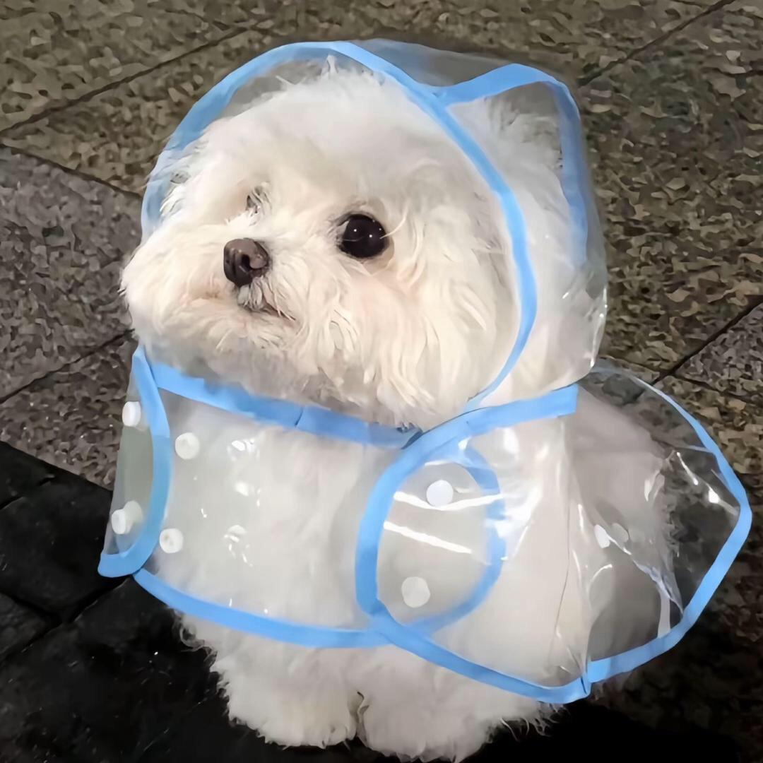 小秀困了呀