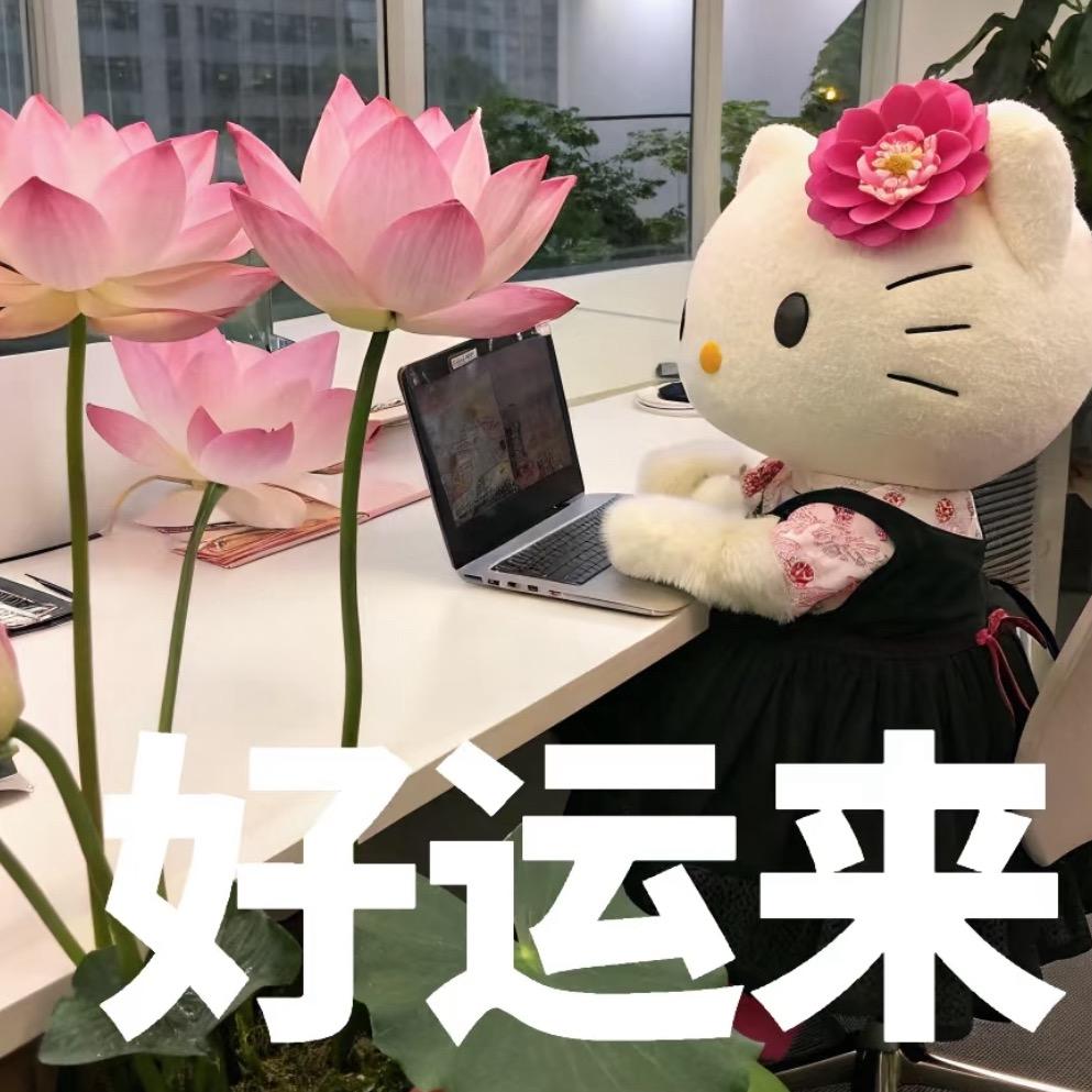 小朱在干嘛