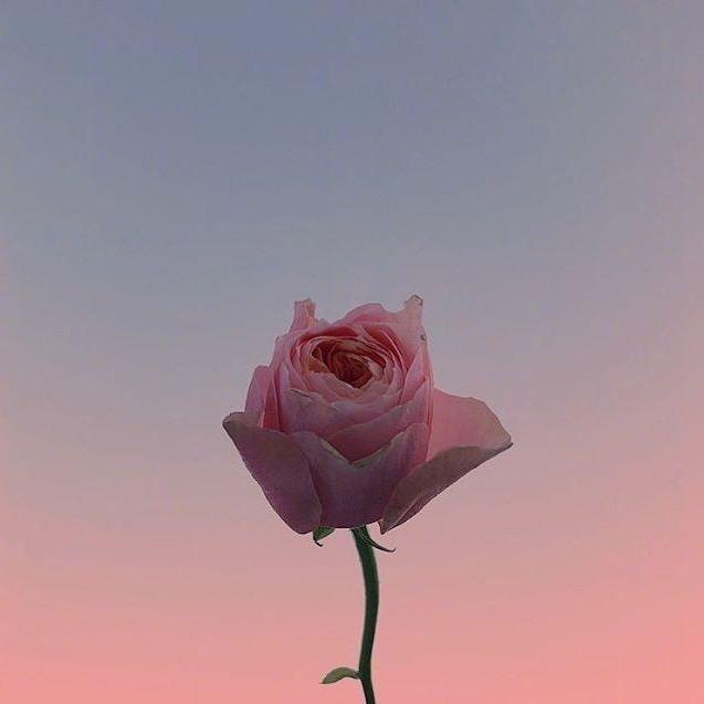 巨蟹