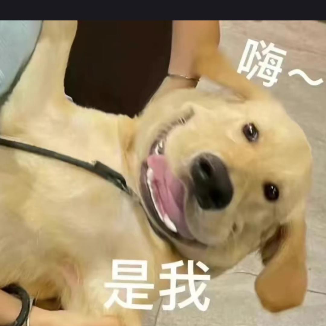 星🥷（幸运星）