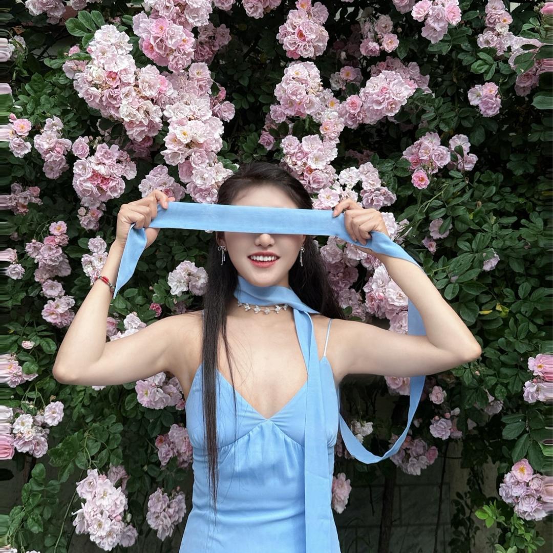 白柳凡歌