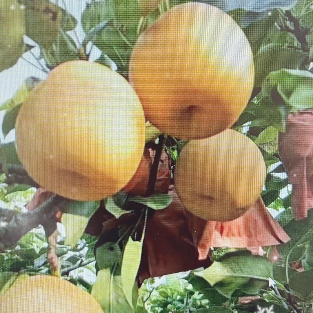 湘森好物精品店