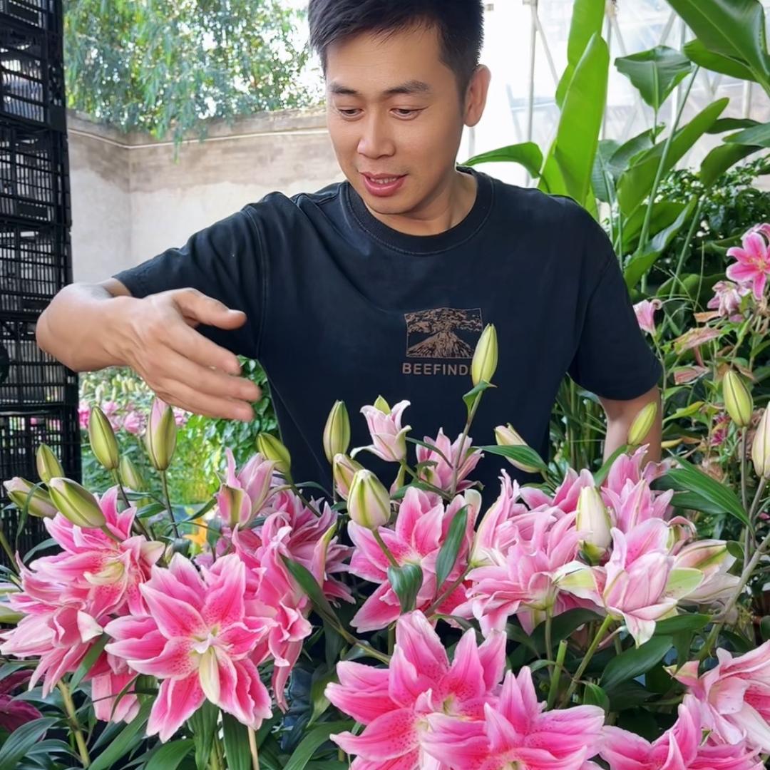 花二代家庭园艺