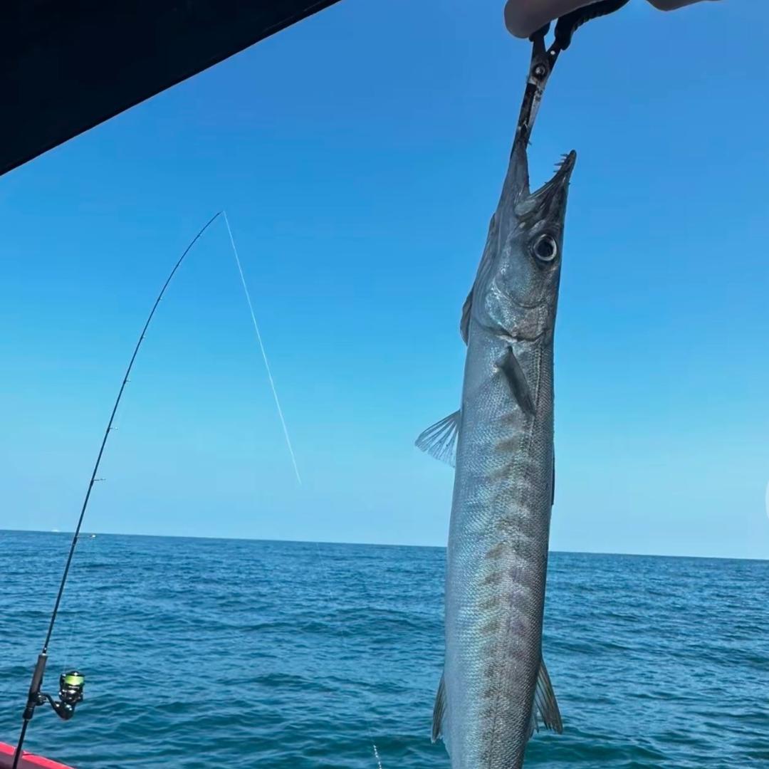 阳星佑渔具优品的头像