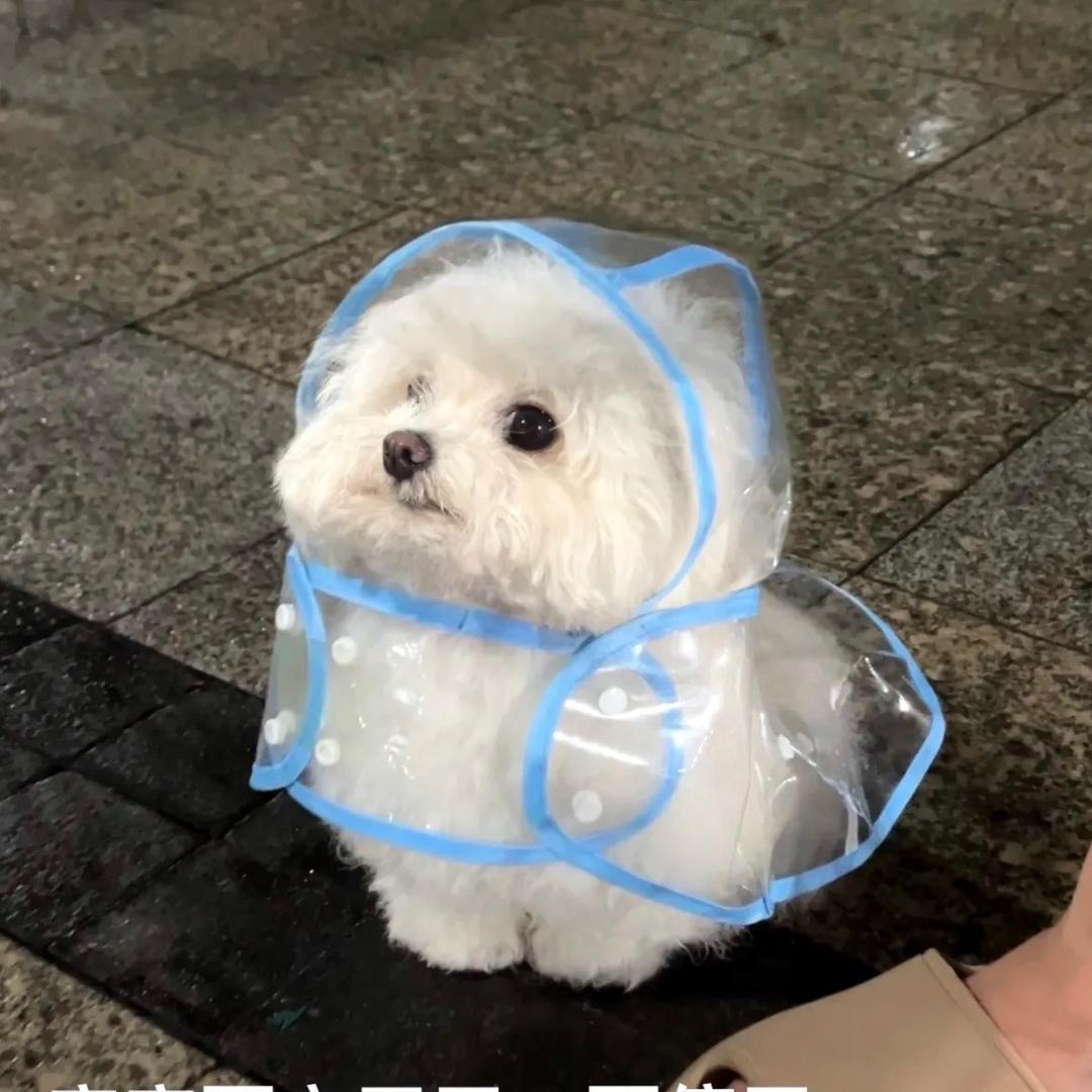 高高💜