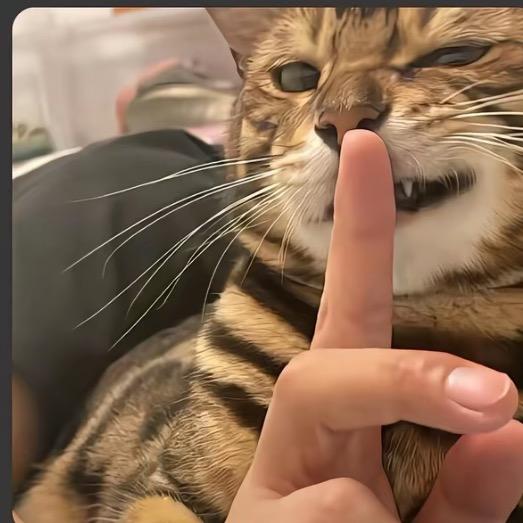 靳.