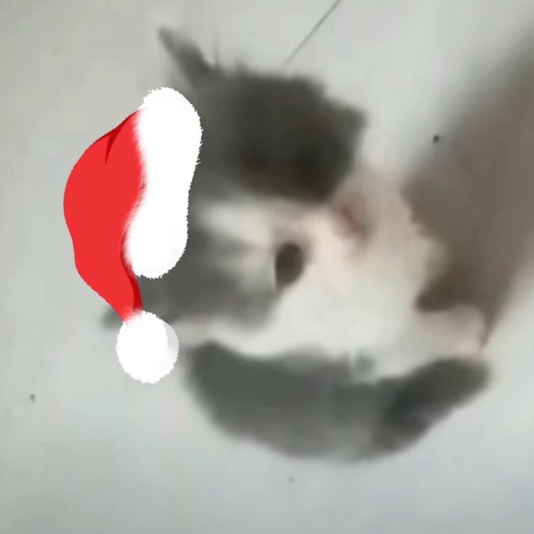 爱吃抹茶味手指头