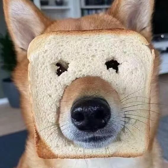 吃饭就要吃蛋炒饭🤟🏾