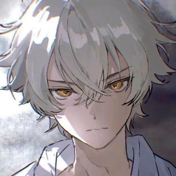 王者荣耀清霖（2w分老虎）