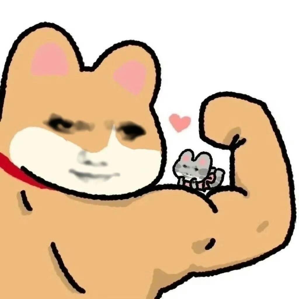 小猪🐖