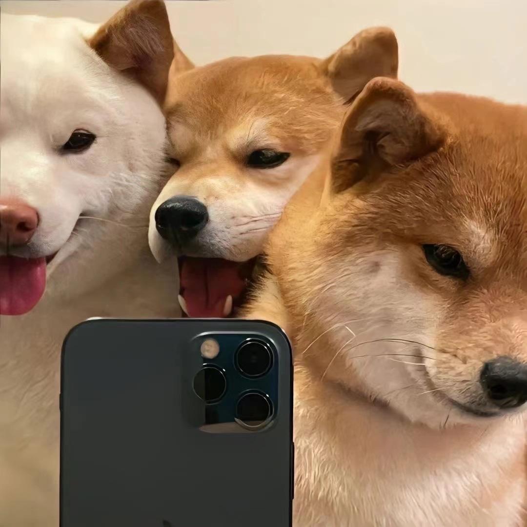 寡妇床上少年郎