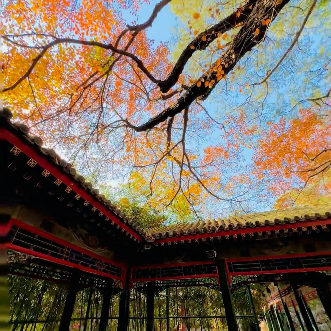 蜕变重生，赋能前行（20 多年的经历）