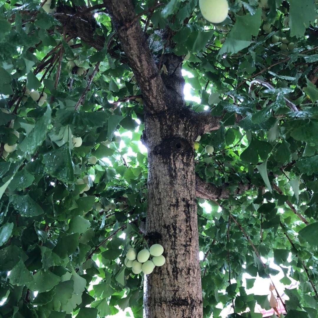 等我-分钟