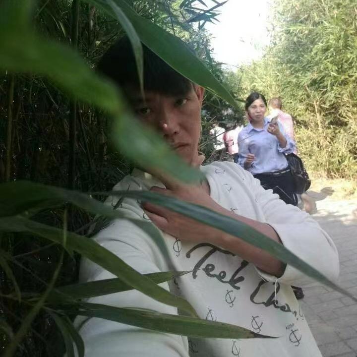 雲海🐹相拥💫