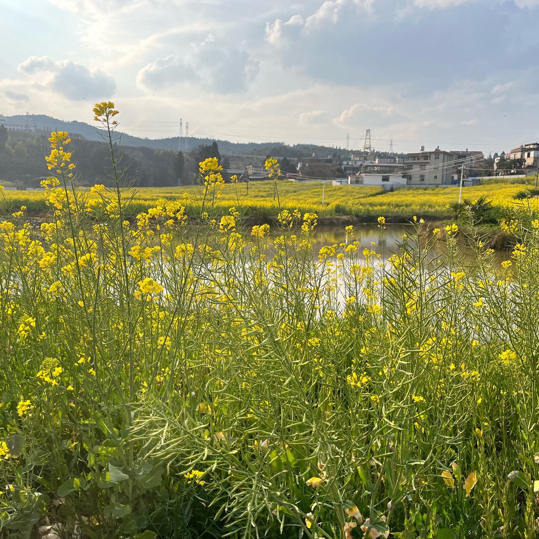 富怡便利店吉铭迎钛safgWWE直播号