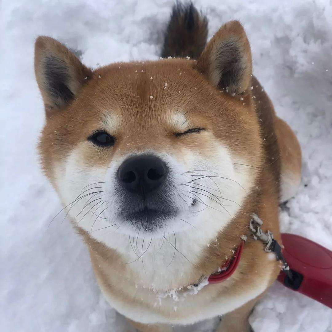 渴了会喝水