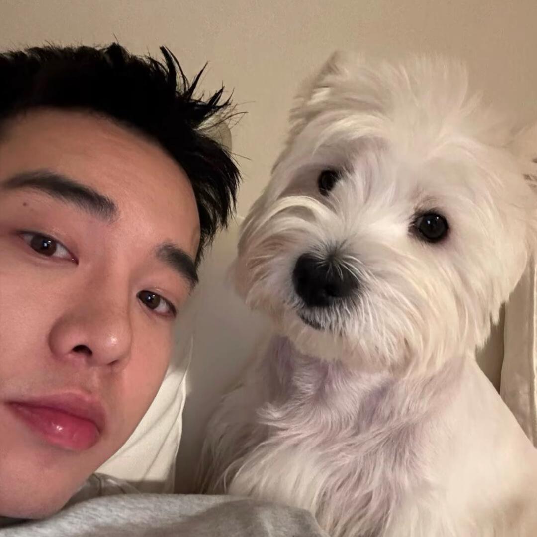 鸡翅包饭没有饭🍚