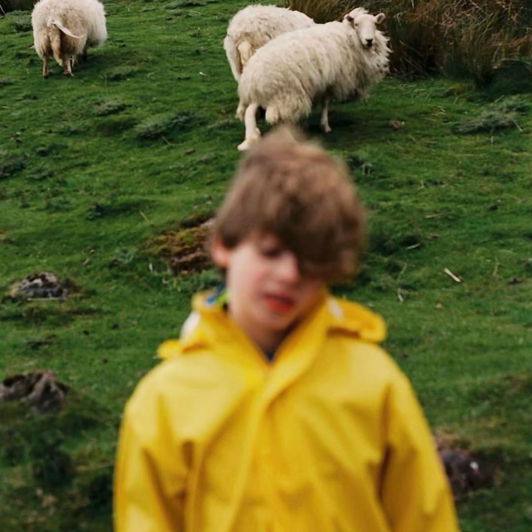泪水打湿麦当劳你却不懂我的好