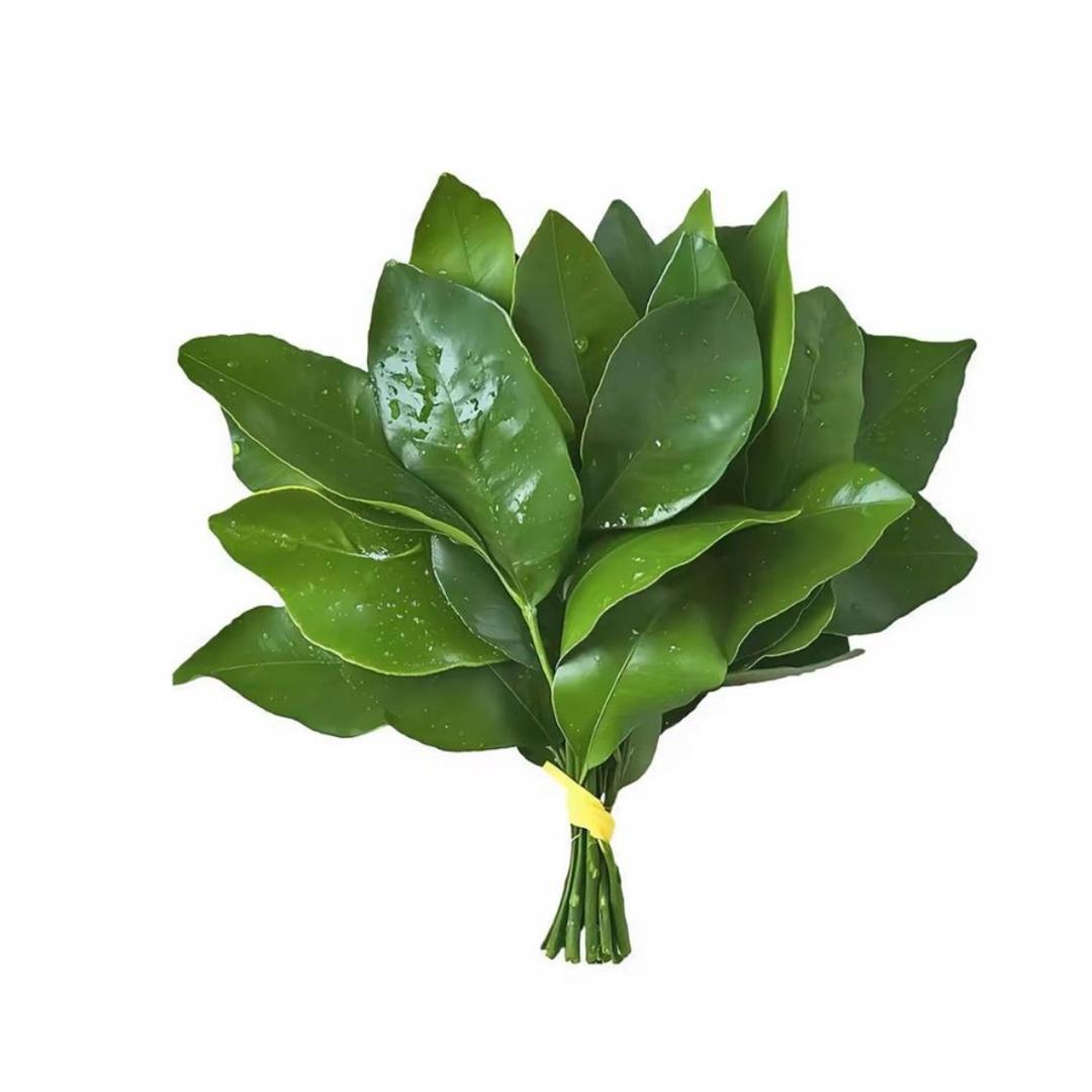 美伢