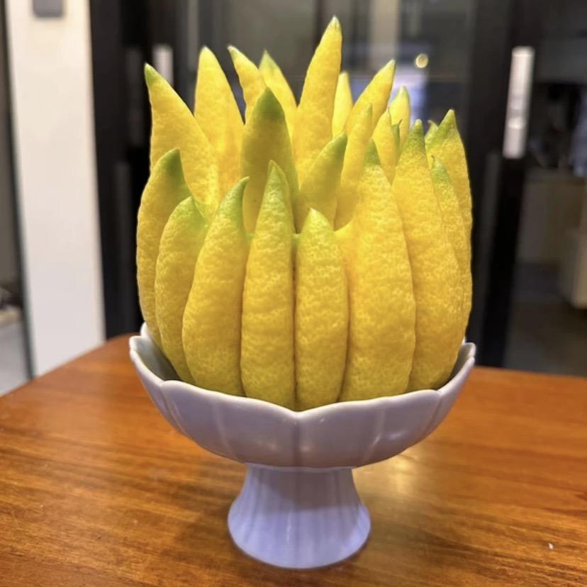 云上景瑄
