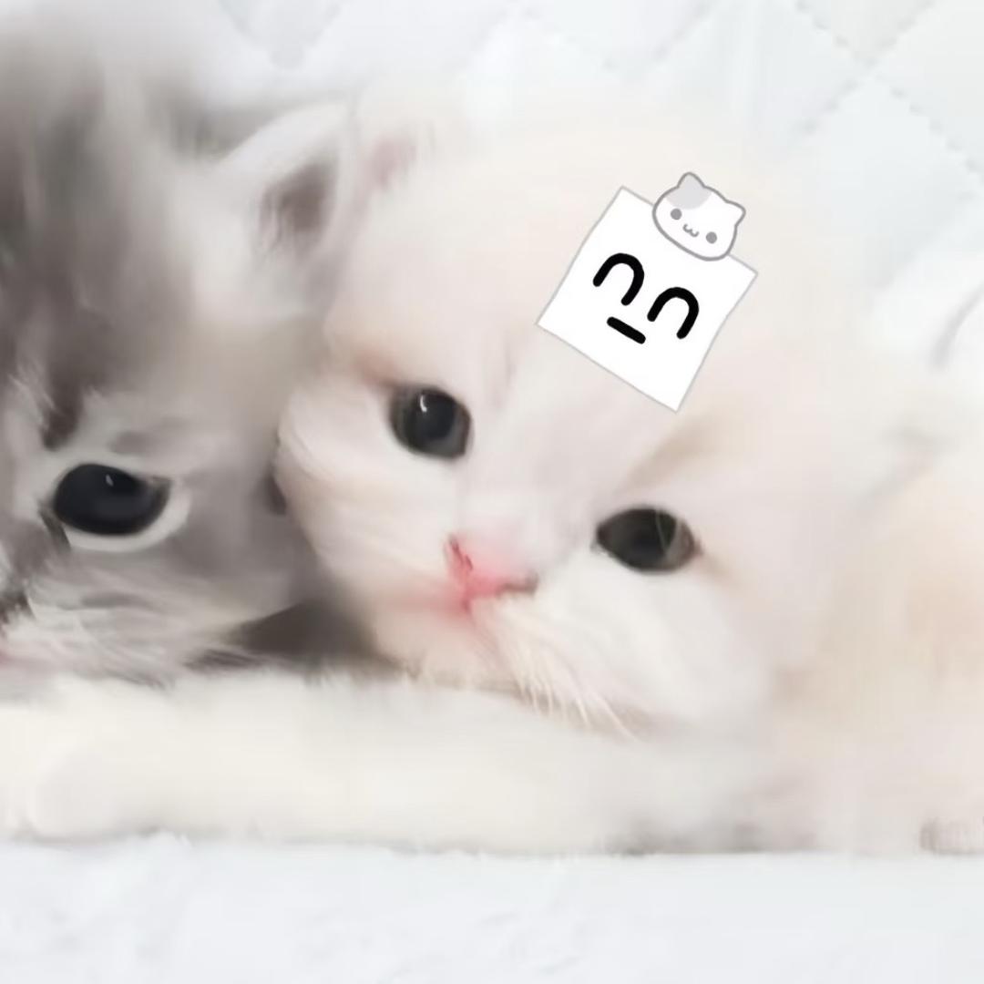 我莓事