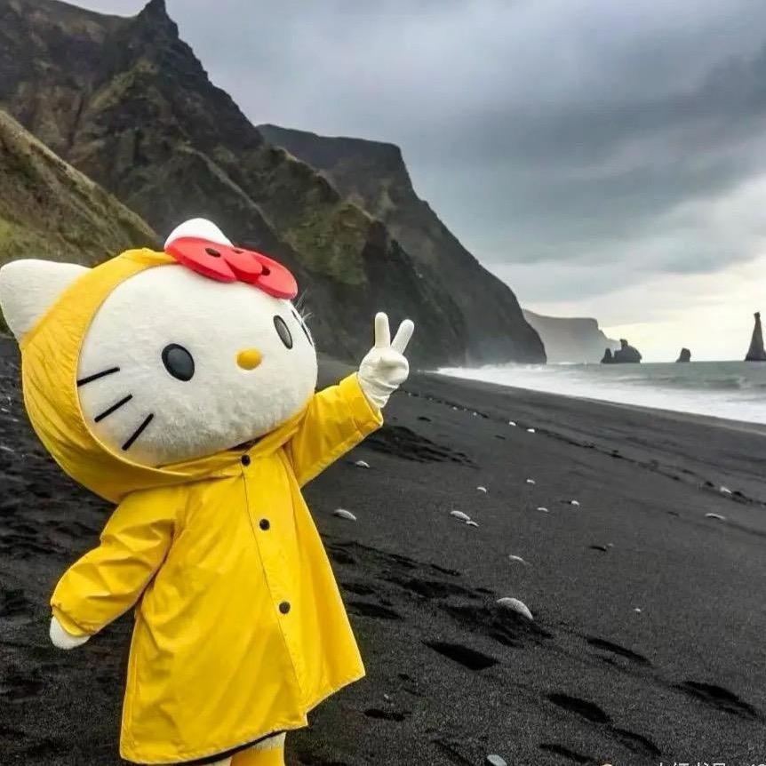 小猫明天的快乐生活