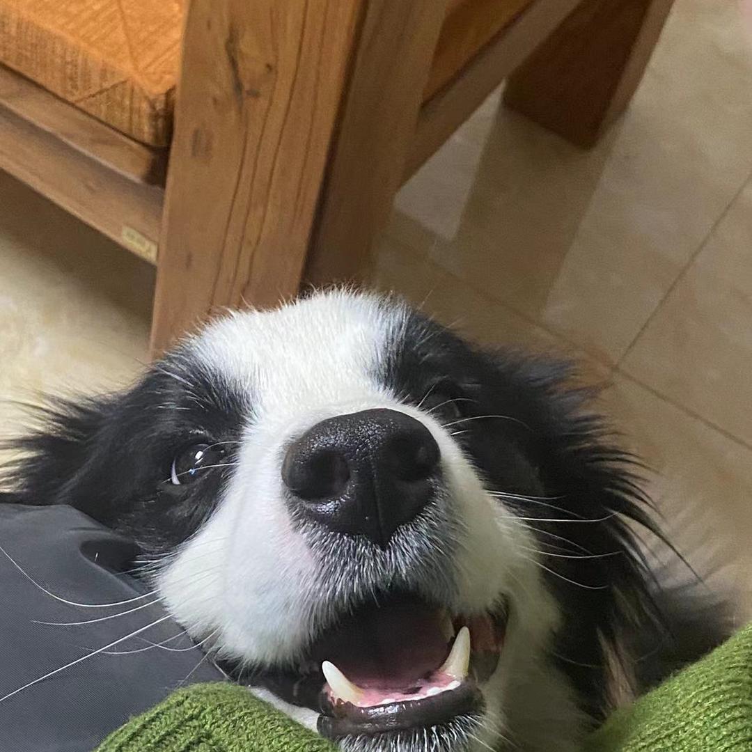 xxxxx.