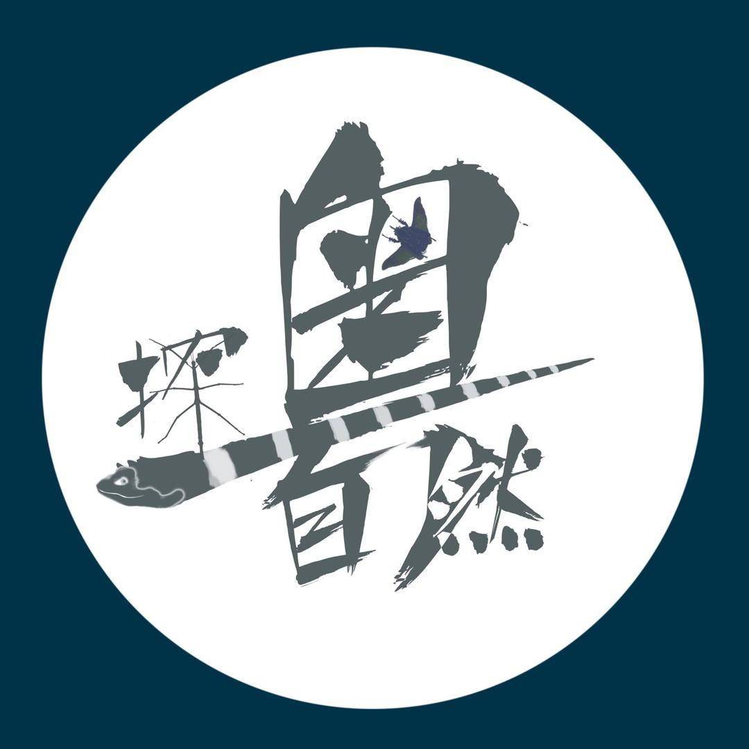 探粤自然