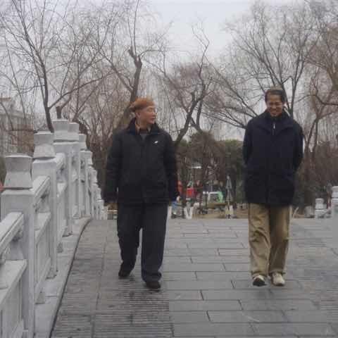 陈新