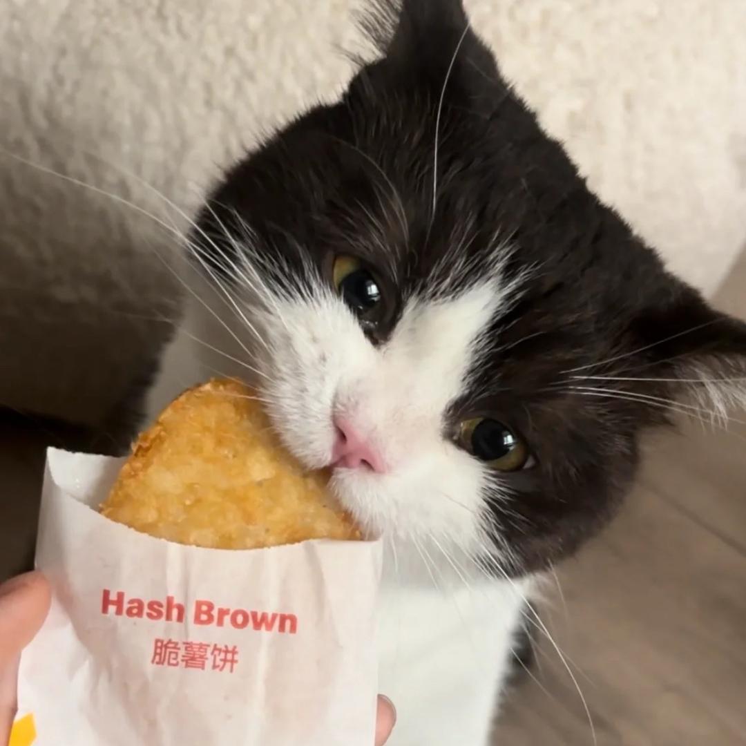 婉安雨