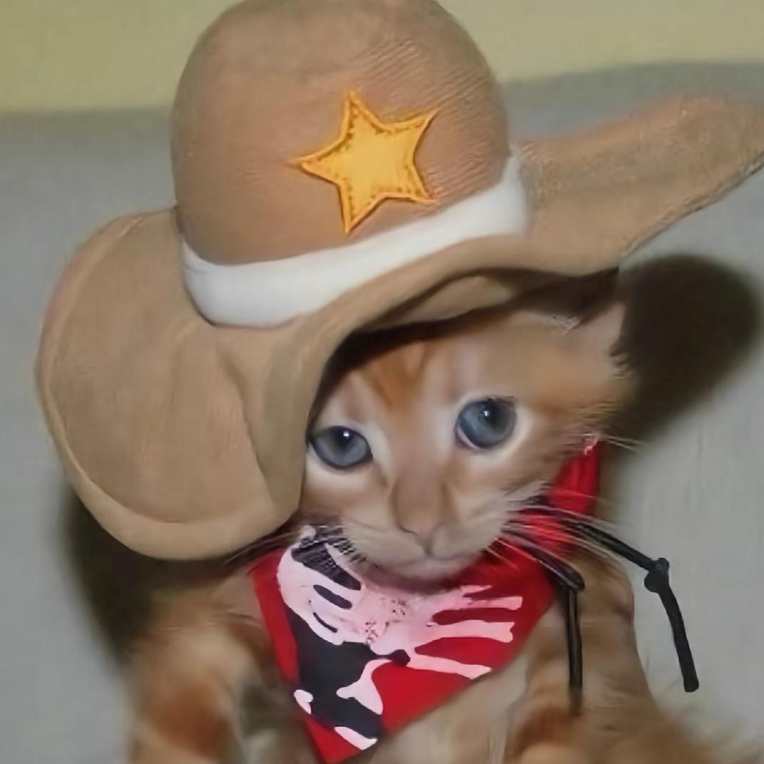 Mini-Lu