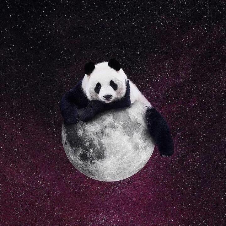 汤姆·僧