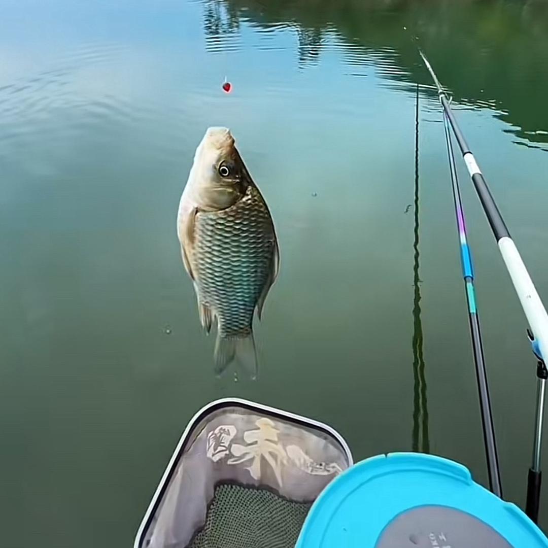 渔你友缘渔具精选