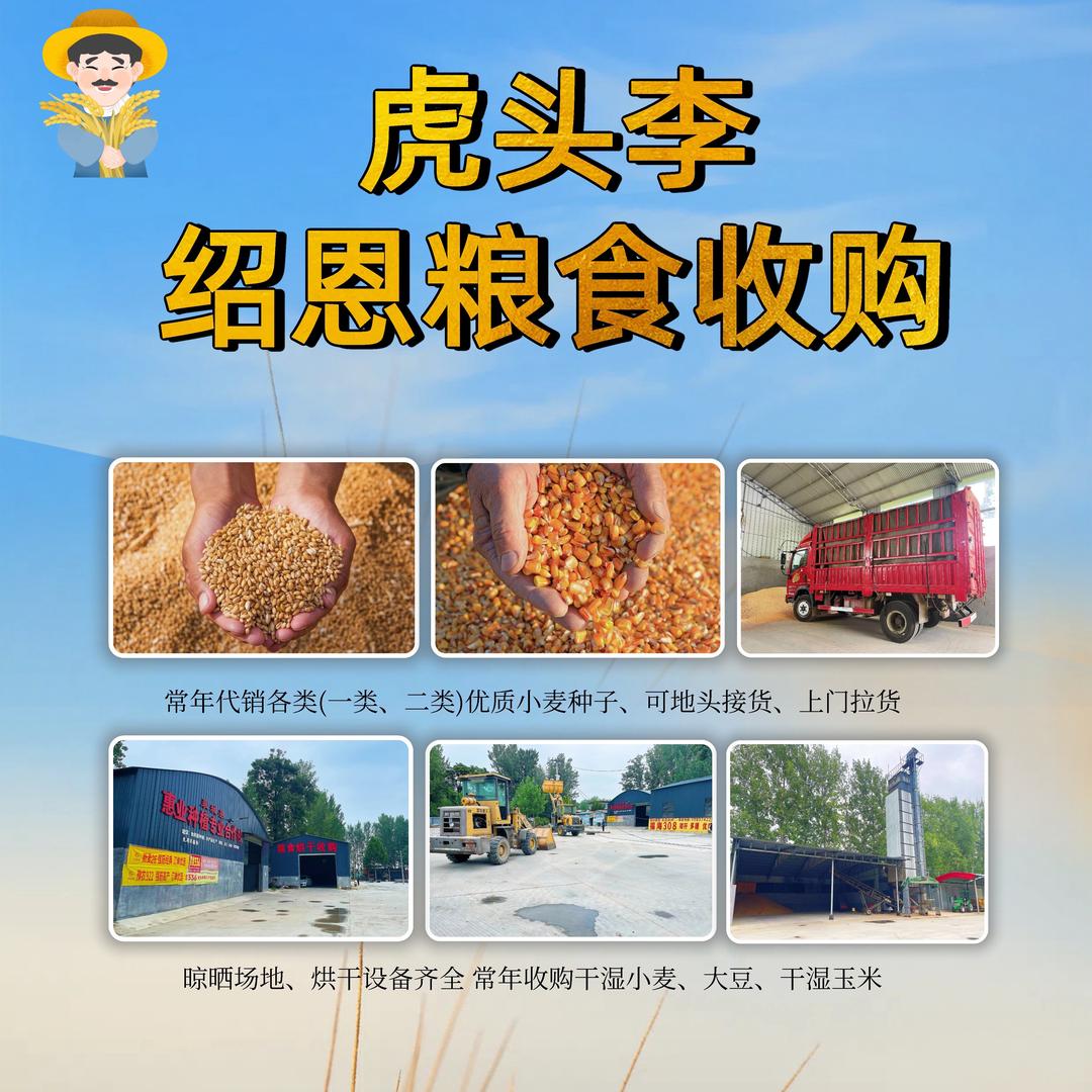 绍恩粮食种植合作社