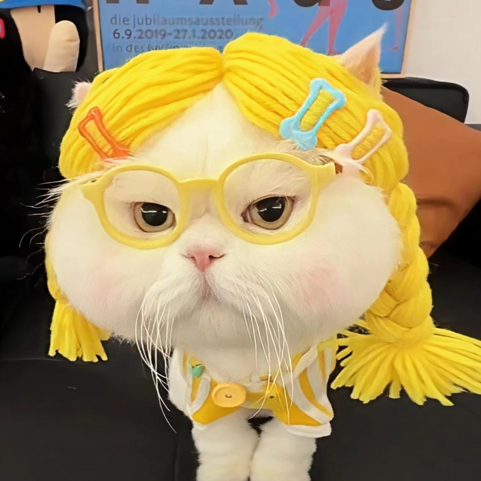 好大一只兔叽叽🐑⋆͛ᵞᵐ