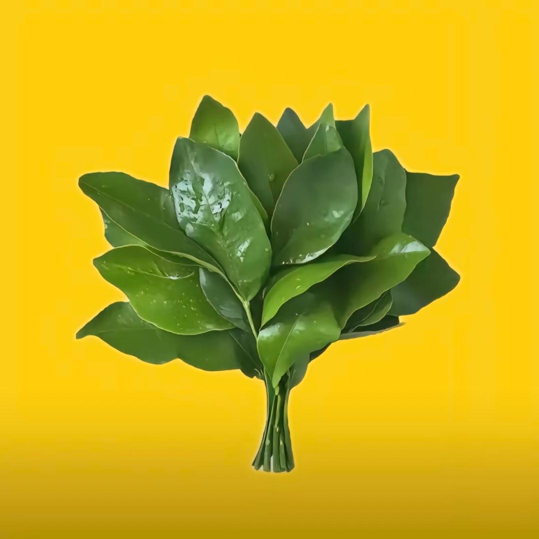 番茄炒蛋
