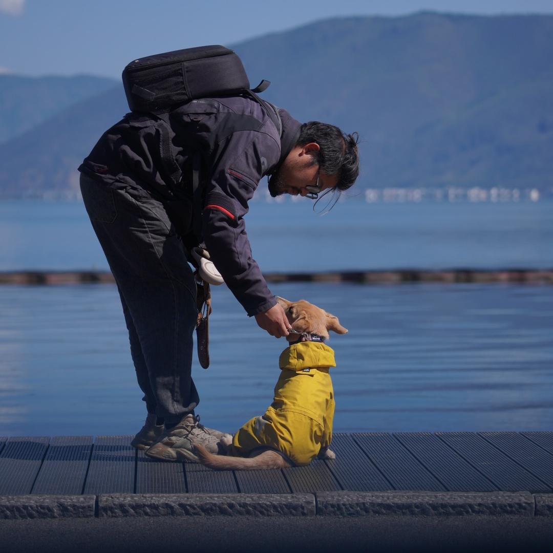 曹叔叔带你去流浪
