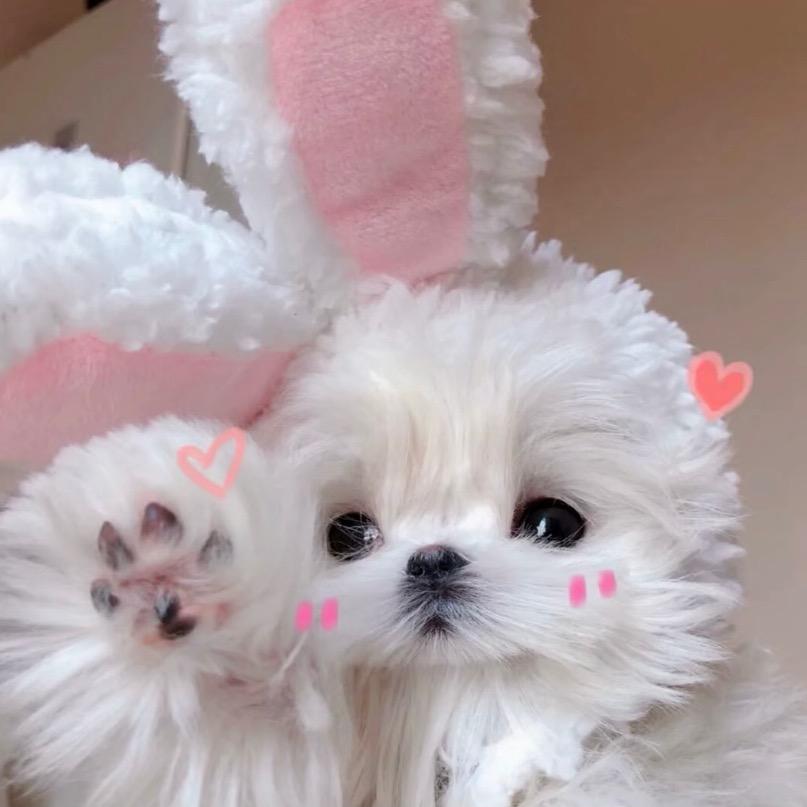 恩恩