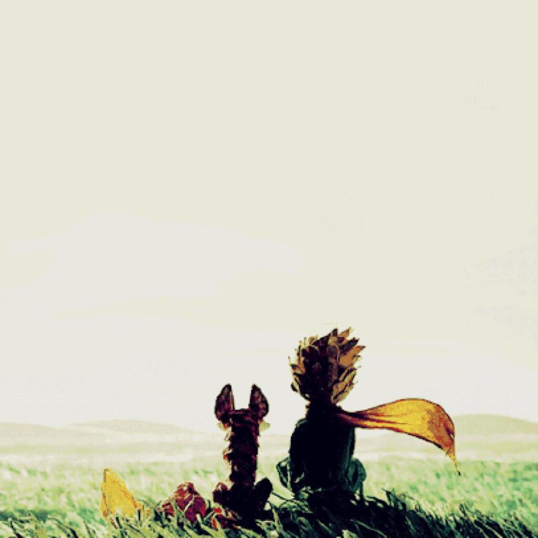 心如沸水(⋟﹏⋞)