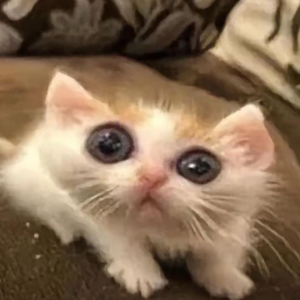 ^_^