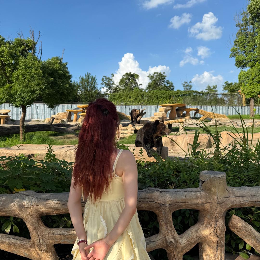 袁满满五毛串串火锅官方号